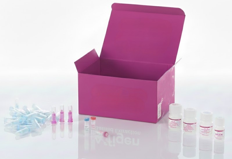 Kit ELISA CA 27-29: Antígeno contra el Cáncer Canino 27-29 (CA 27-29) Kit ELISA 96T